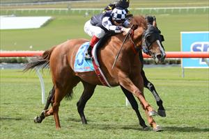 Staying test awaits emerging Kiwi mare